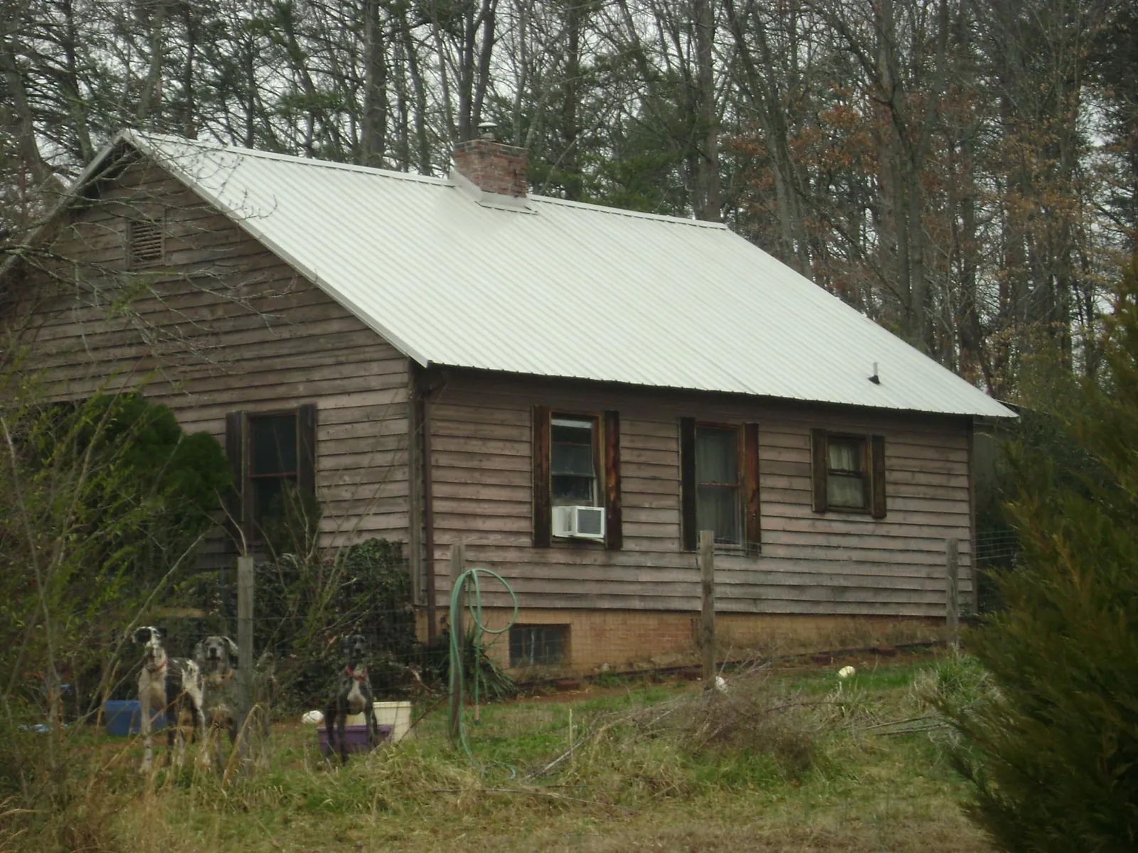 White metal roof on an old wood sided farmhouse, from a Asphalt Shingle Roof Repair job in Saint Helens